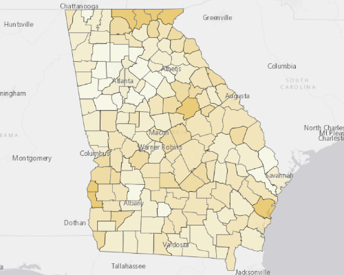 Map of Georgia showing the areas with a higher percentage of vacant property