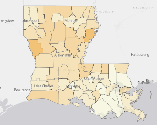 Map of Louisiana showing the areas with a higher percentage of vacant property