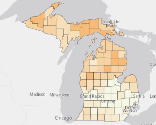 Map of Michigan showing the areas with a higher percentage of vacant property