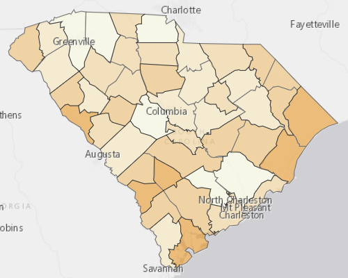 Map of South Carolina showing the areas with a higher percentage of vacant property
